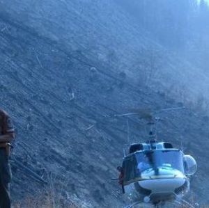 Meet your Posher, Kent